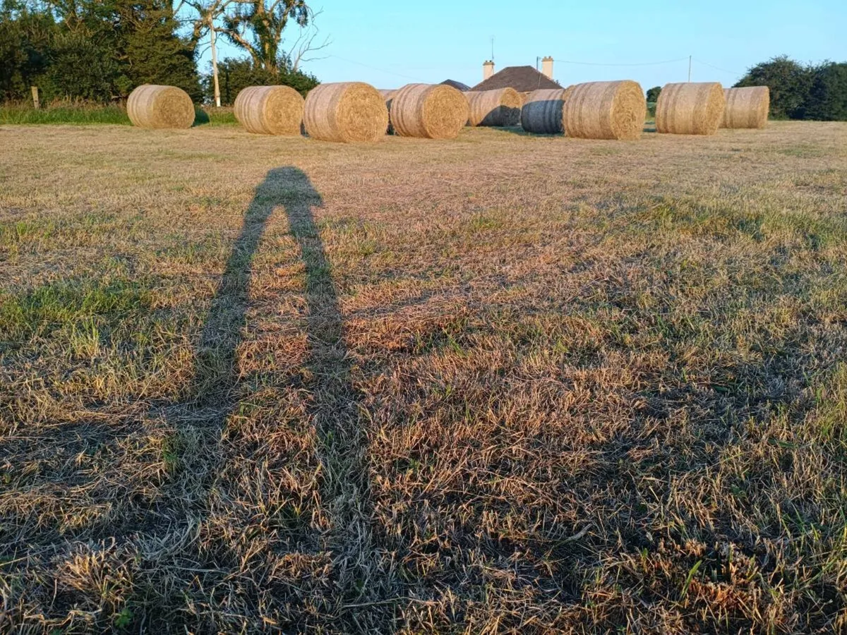 40 1st cut Silage Bales from June 2025 - Image 3