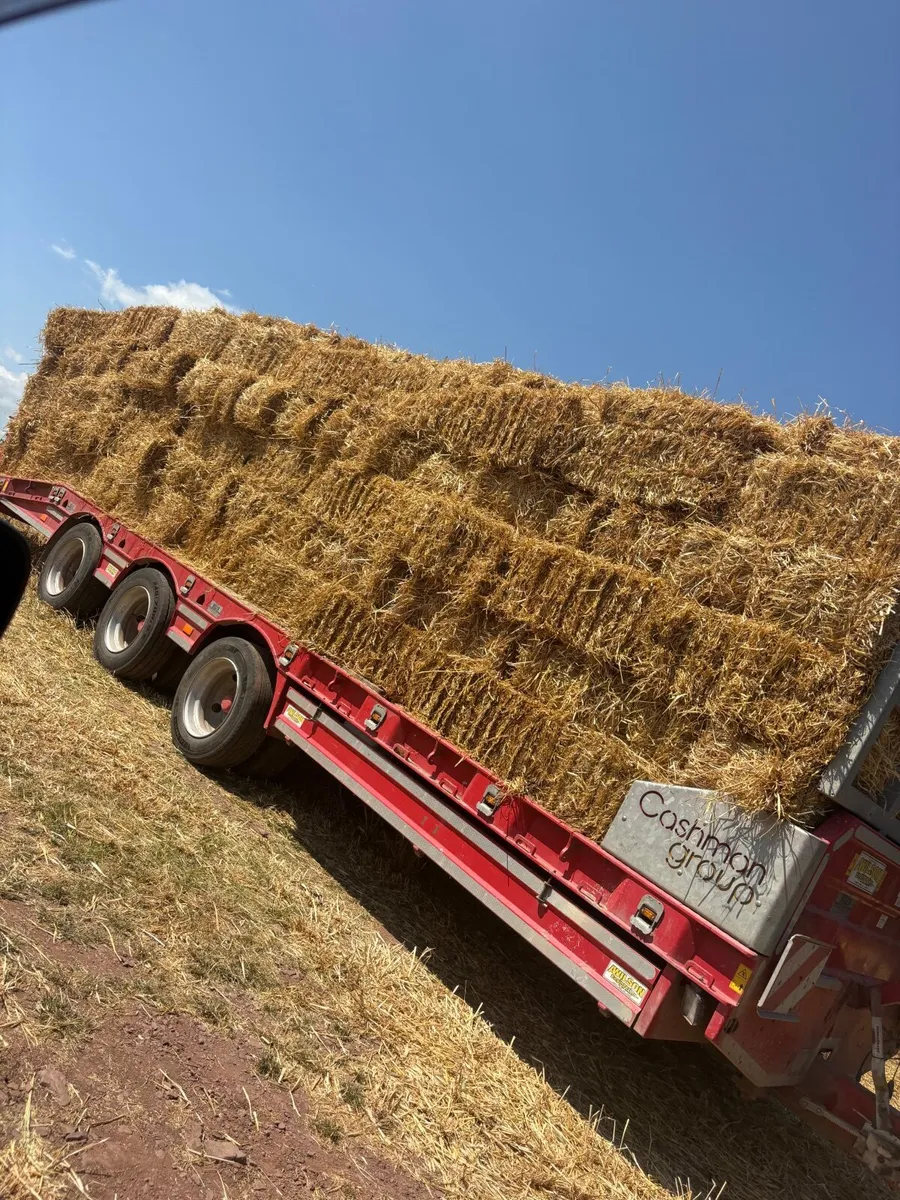Straw