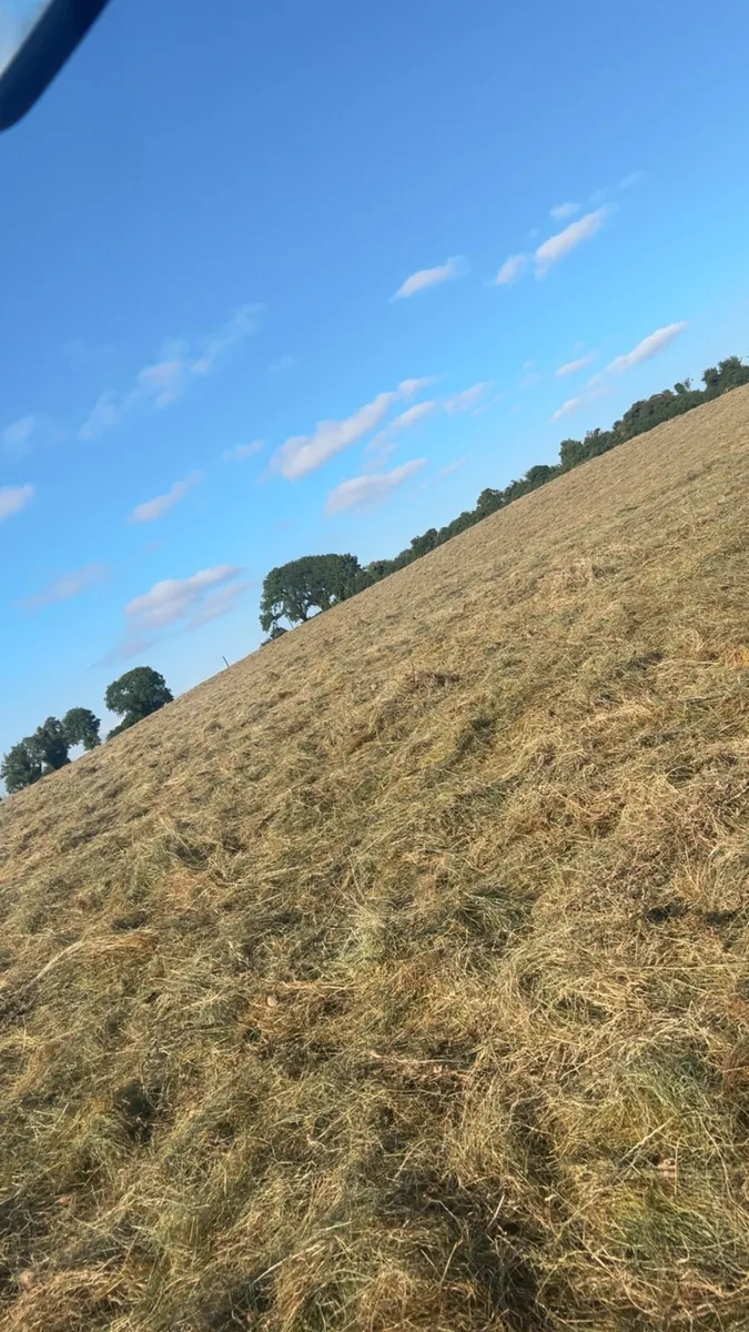 Round Bales of Hay - Image 2