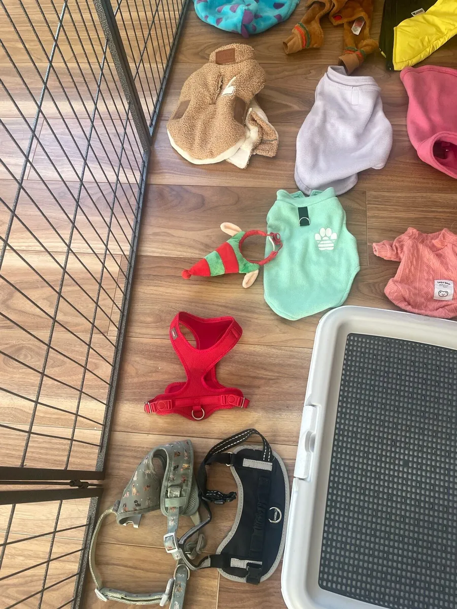 Dog cage, clothes, pee crate & accessories - Image 4