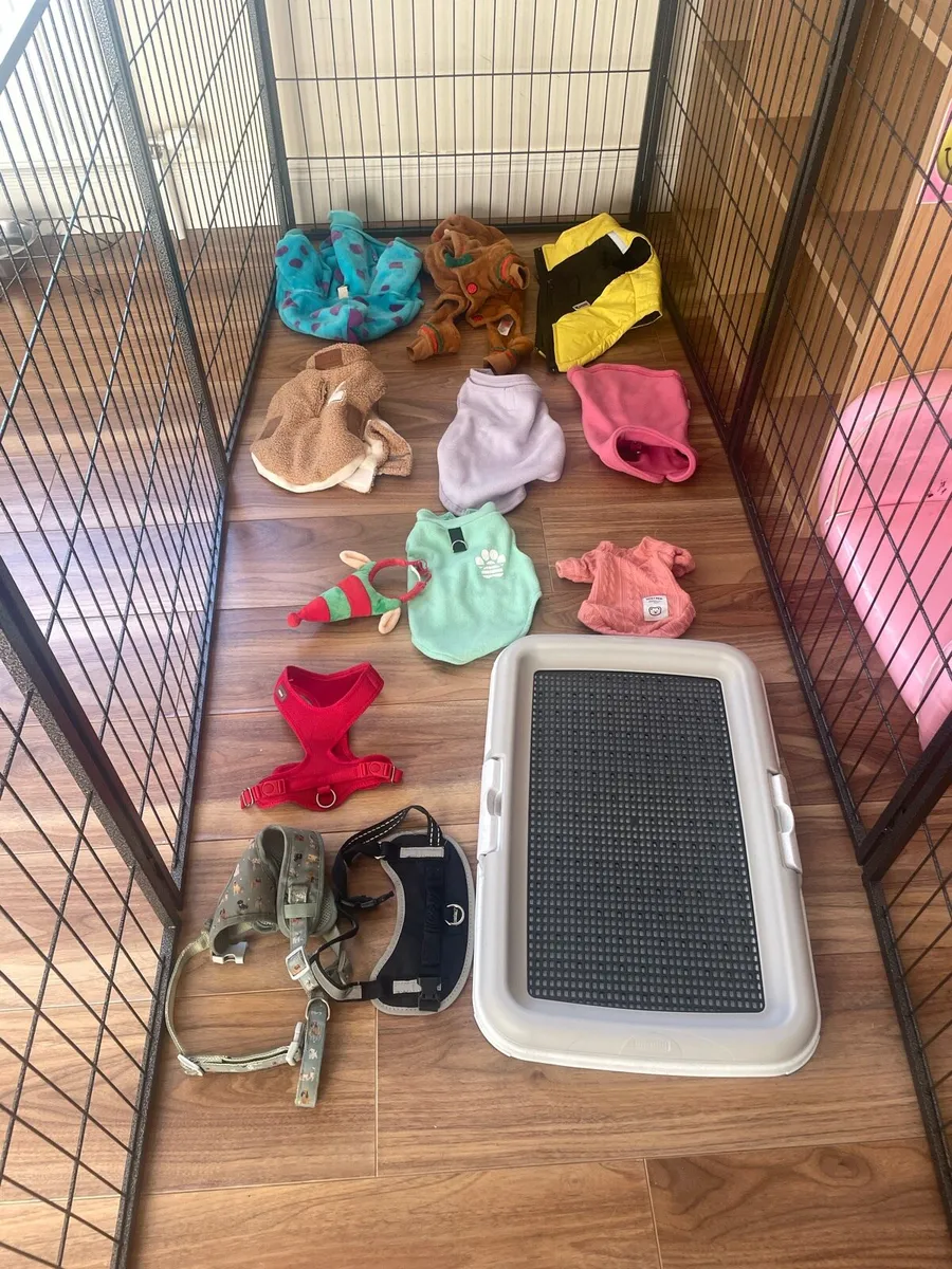 Dog cage, clothes, pee crate & accessories - Image 3