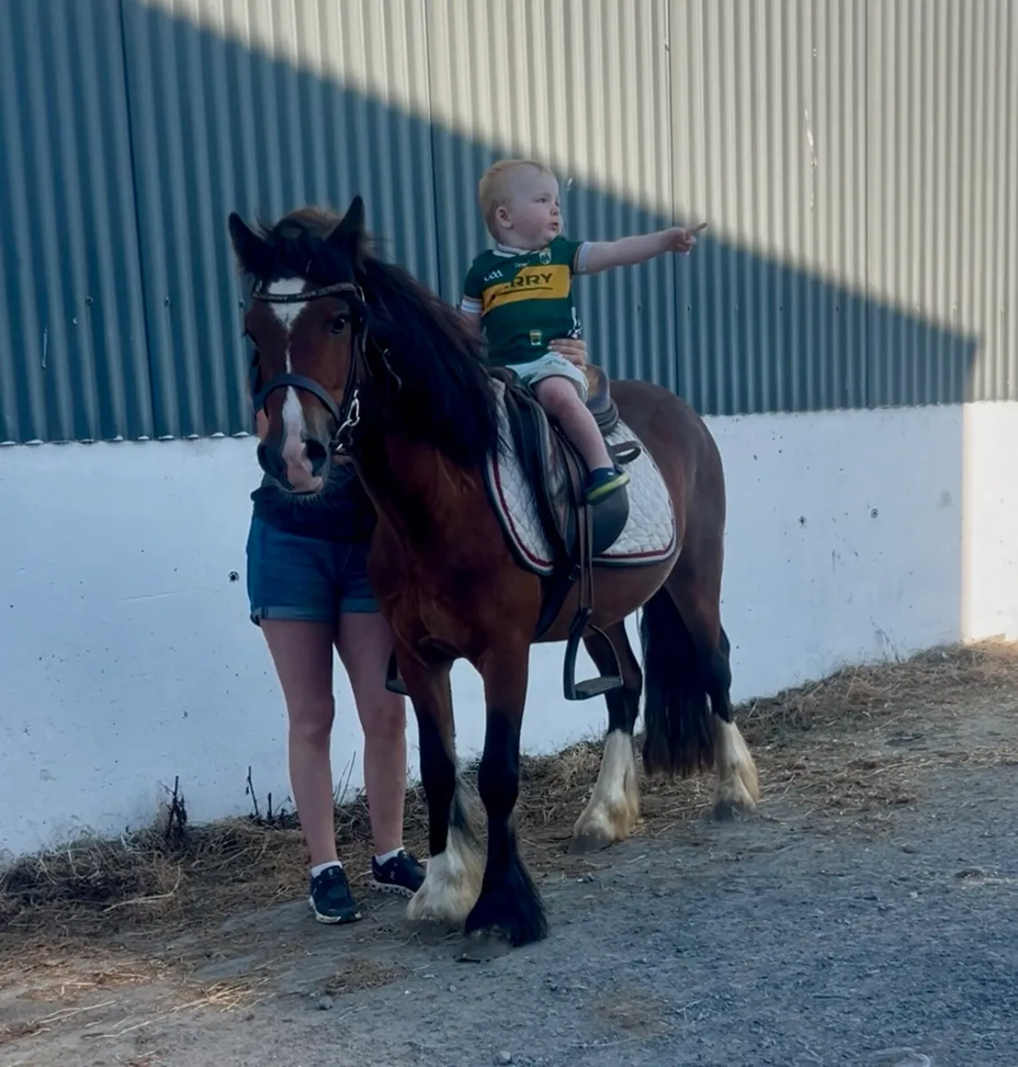 Lovely begginers pony - Image 3