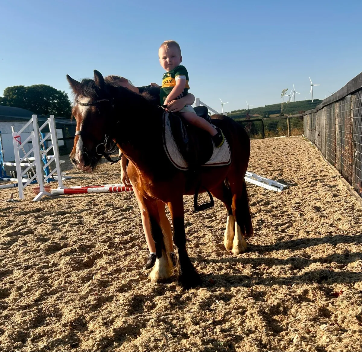 Lovely begginers pony - Image 4