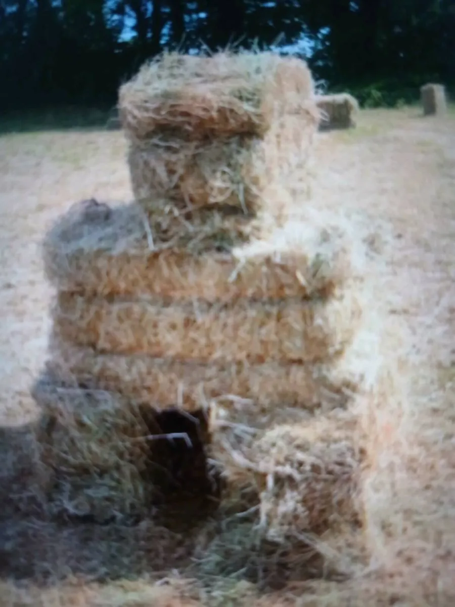 Square.   Certified  organic bales for sale