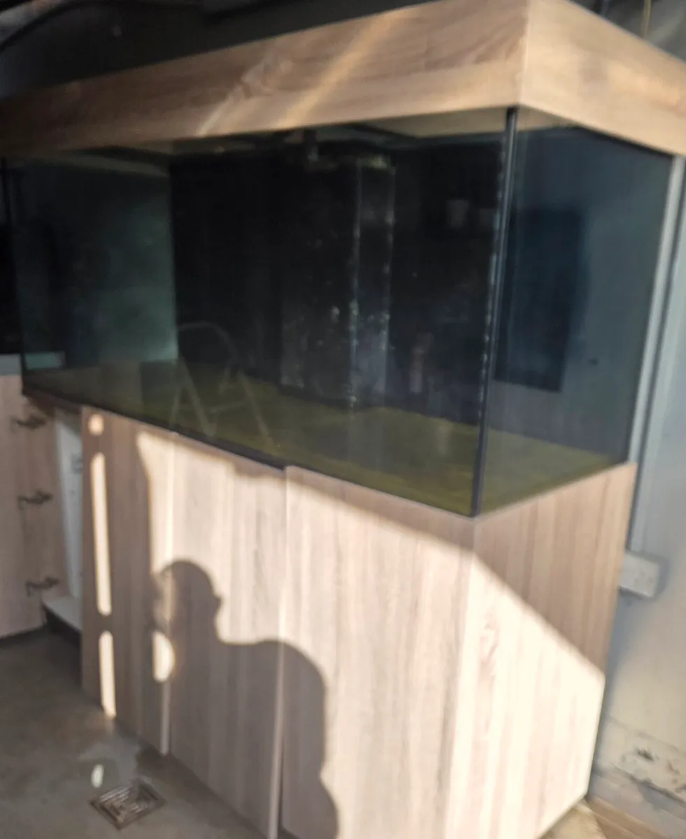 1000 liter tank - Image 2
