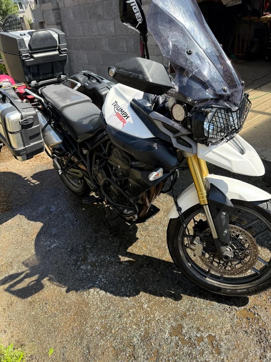 2013 Triumph tiger - Image 1