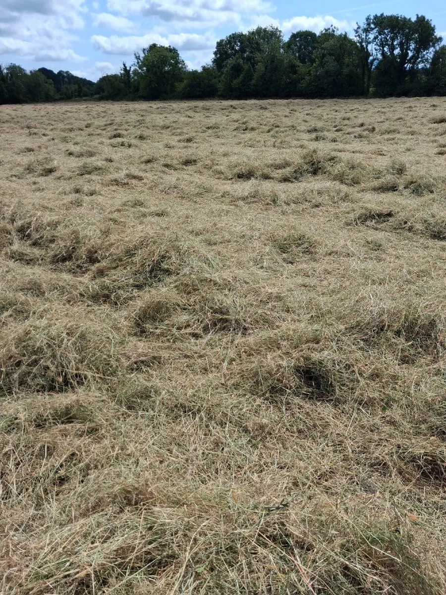 Bales of Hay