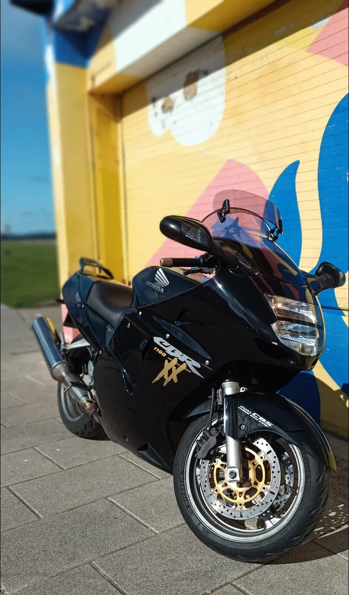 CBR 1100 Blackbird - Image 4