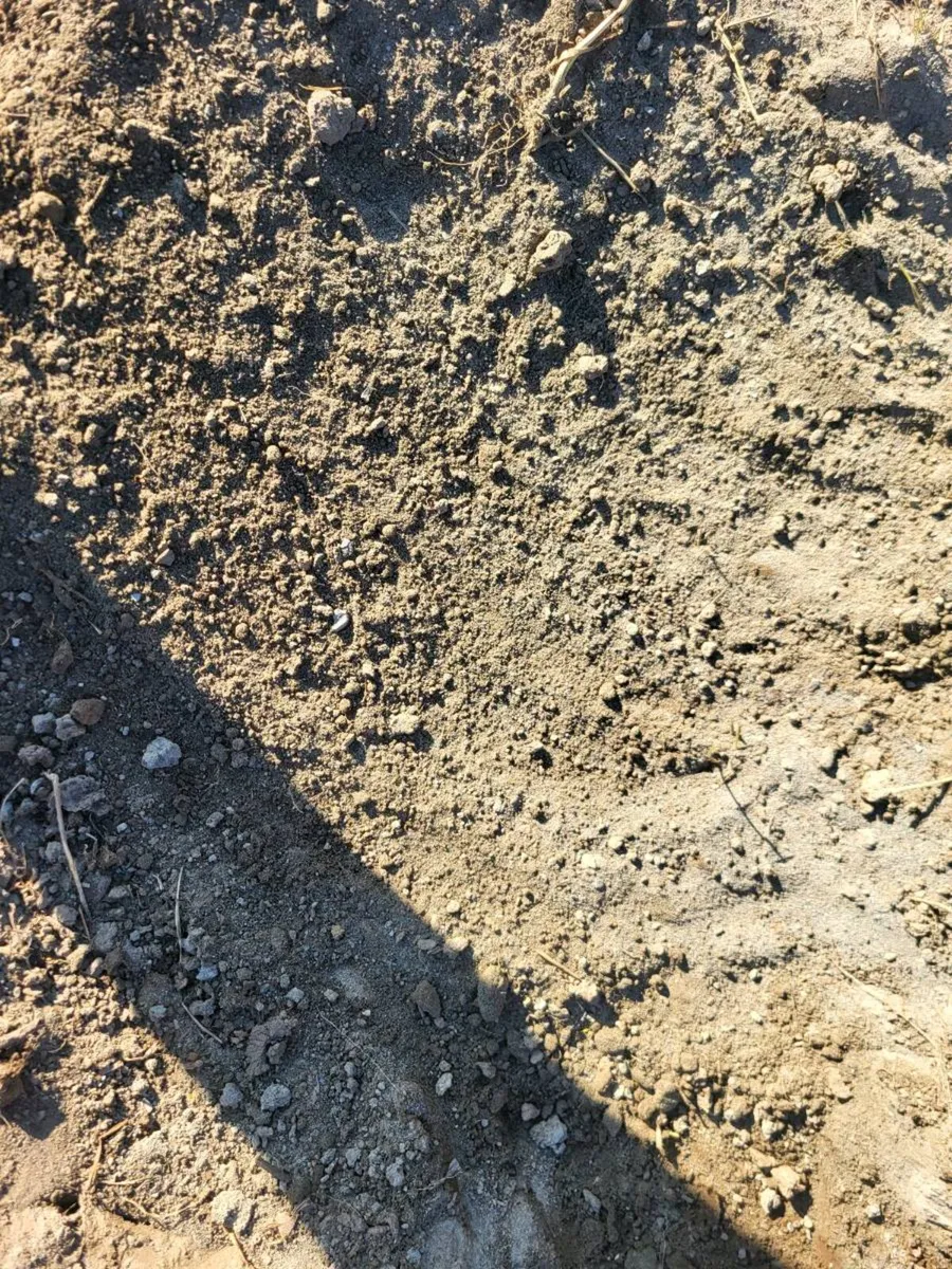 Top quality top soil - Image 1