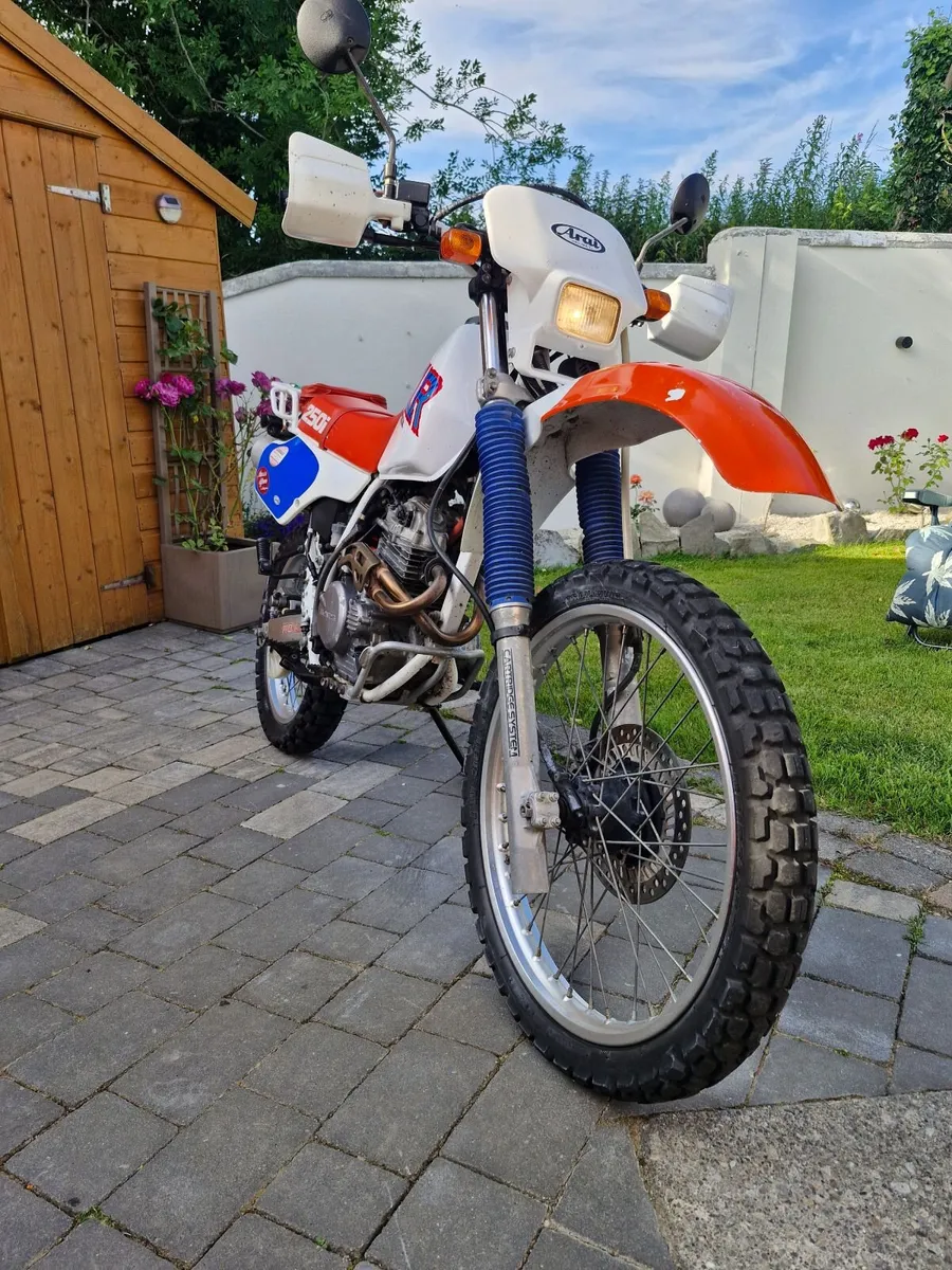 Early 90's Honda xlr250r - Image 1