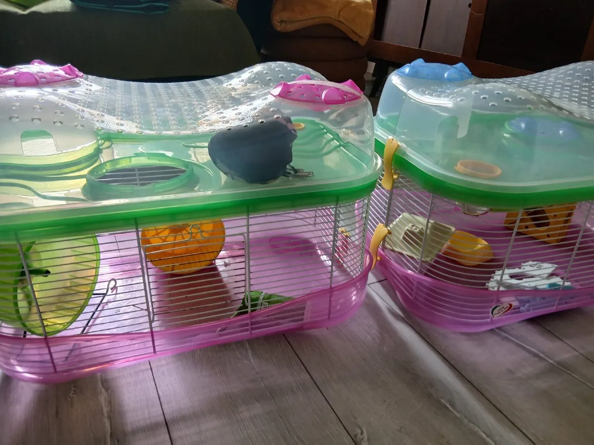 Pet cages and accessories - Image 2