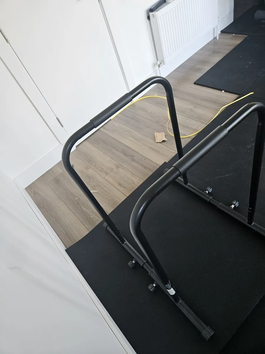 Parallel Fitness Bars - Image 2