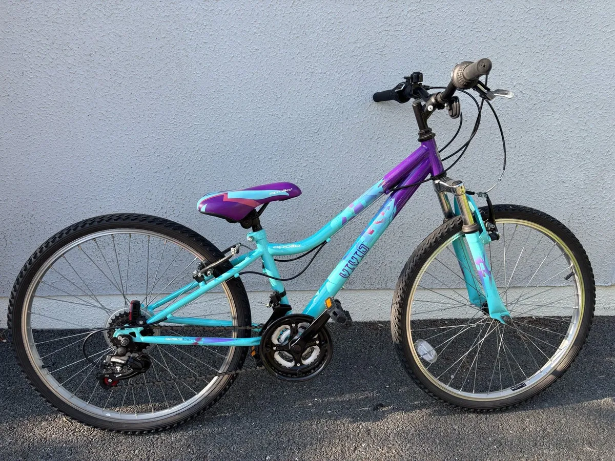 Kids Mountain Bike - Image 1
