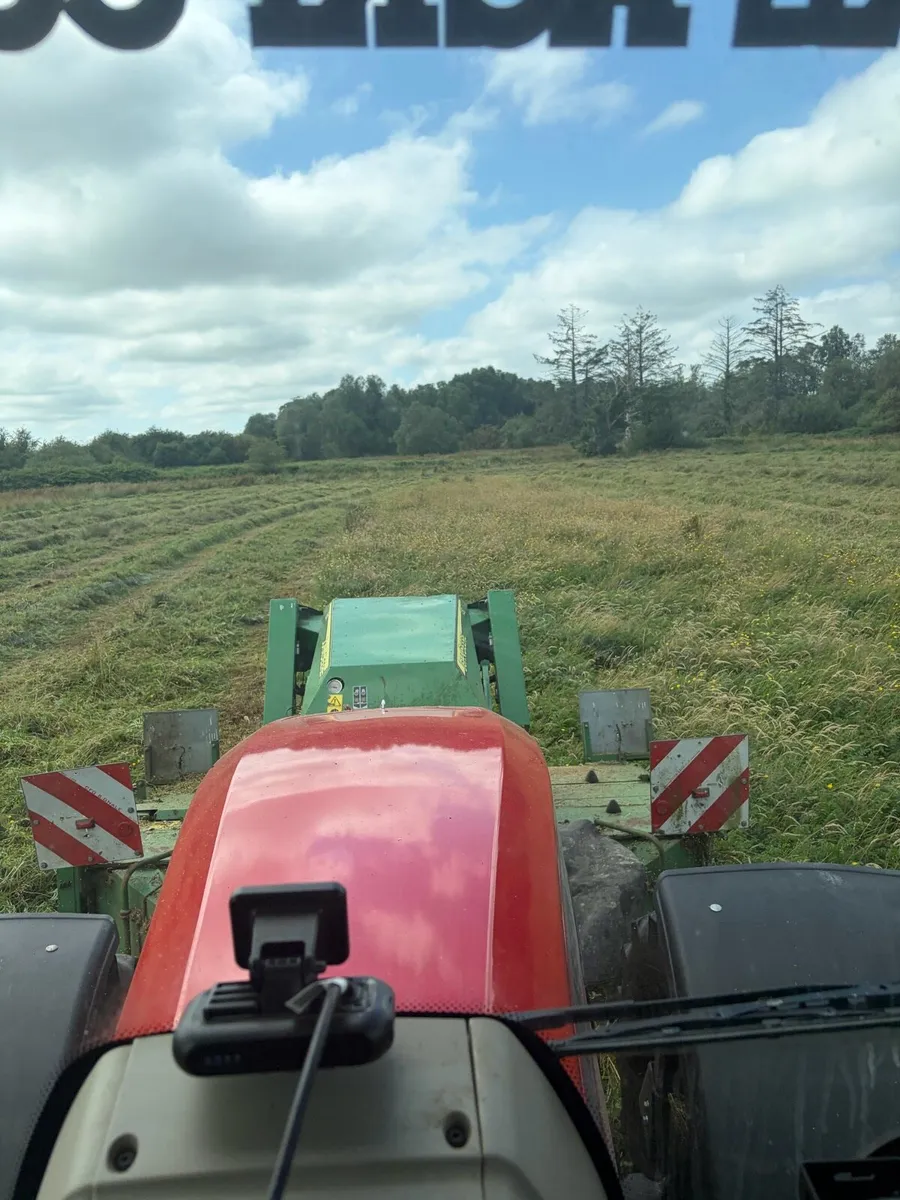 Callow hay - Image 1