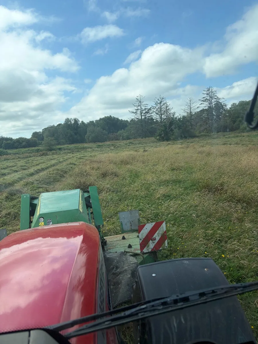 Callow hay - Image 2