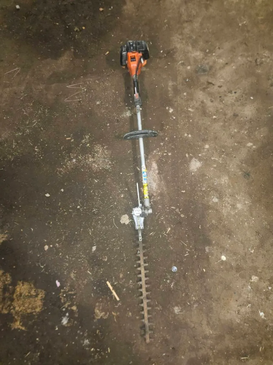 Tanaka pole hedge trimmer - Image 1