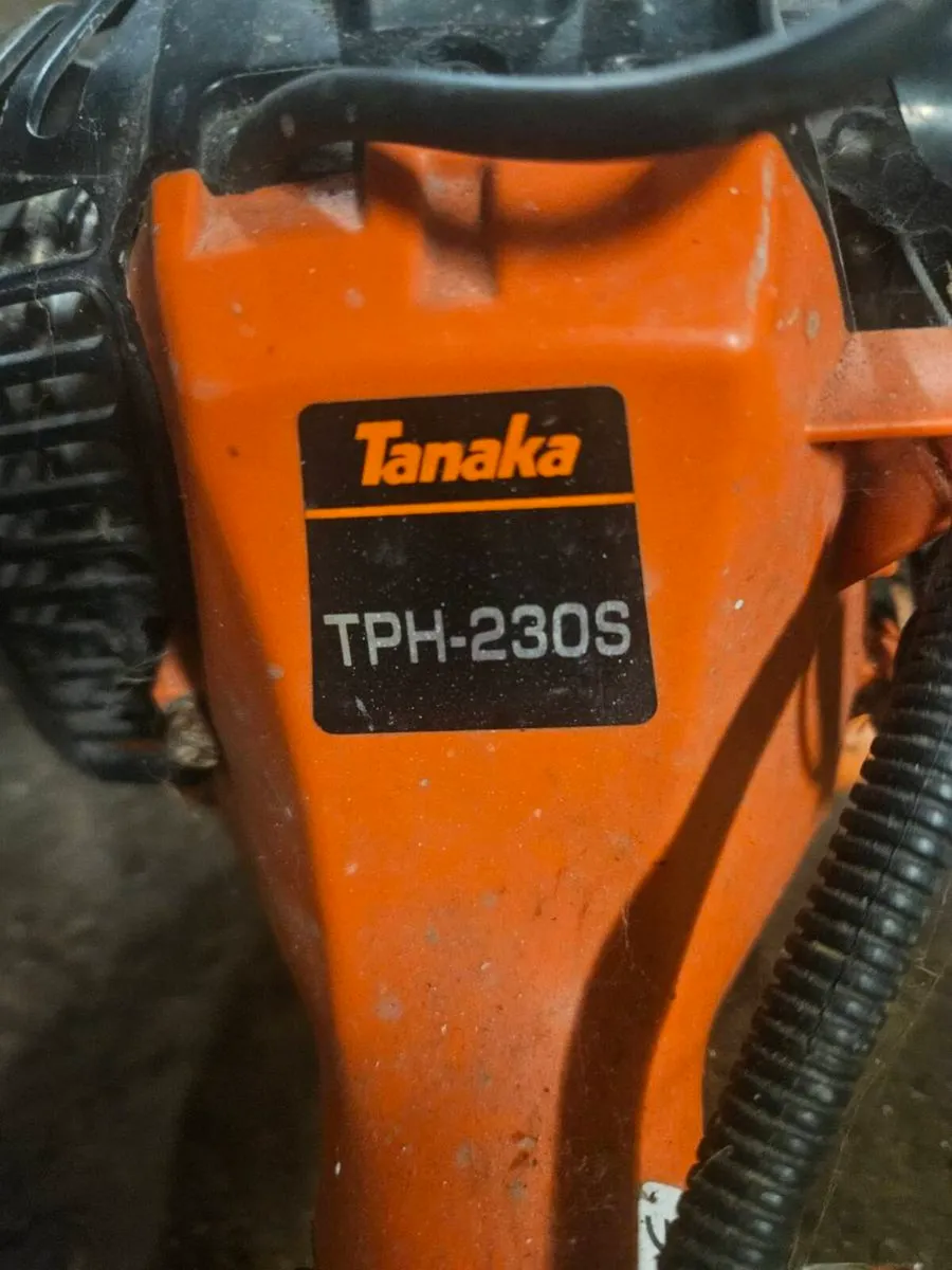 Tanaka pole hedge trimmer - Image 2