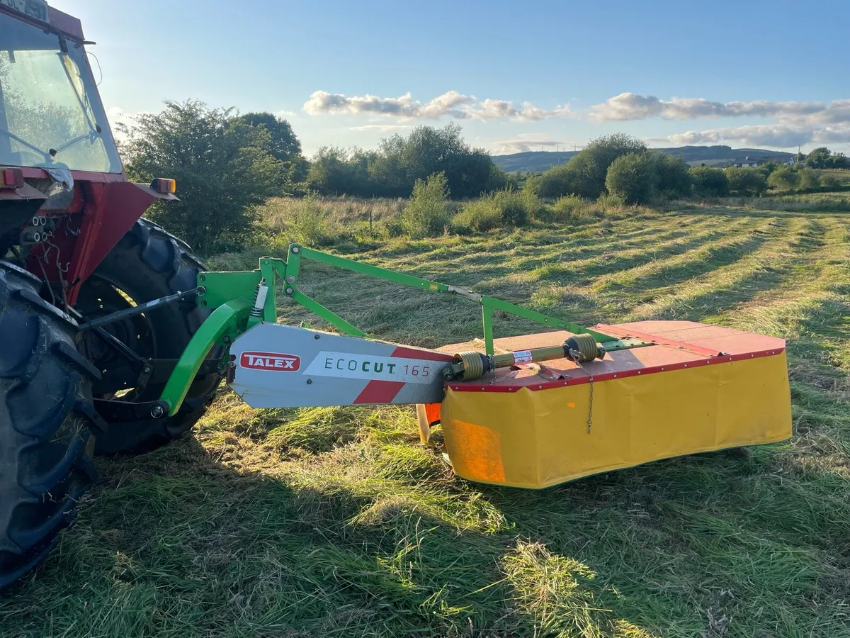 Talex mower - Image 4