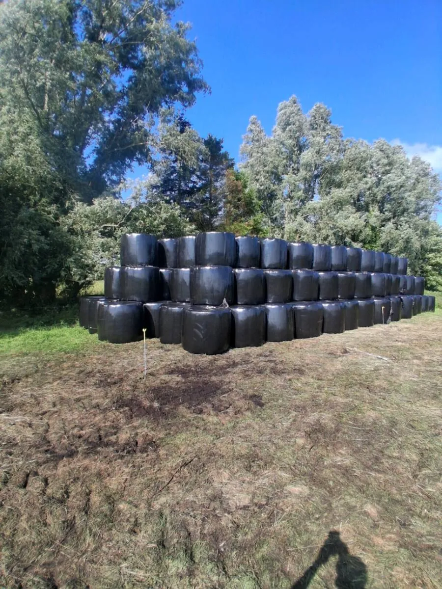 Haylage - Image 1