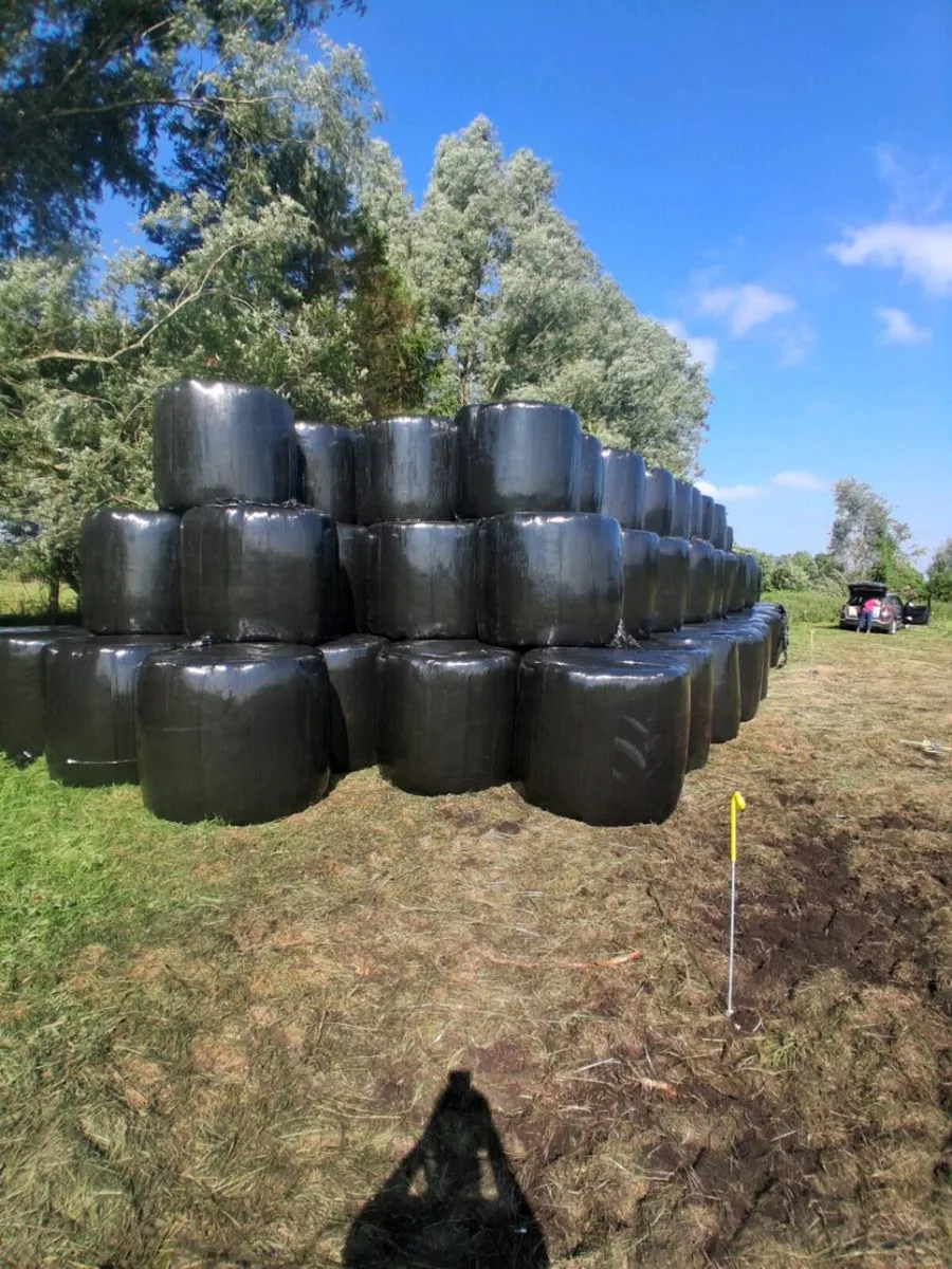 Haylage - Image 2