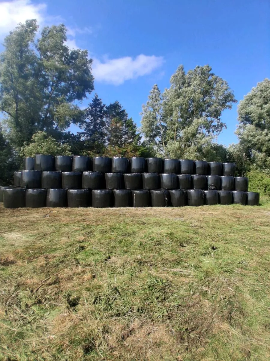 Haylage - Image 3