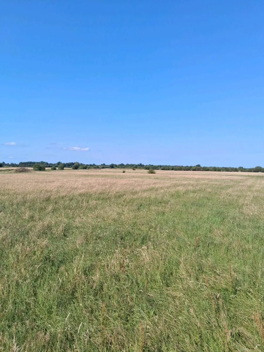 Haylage - Image 4