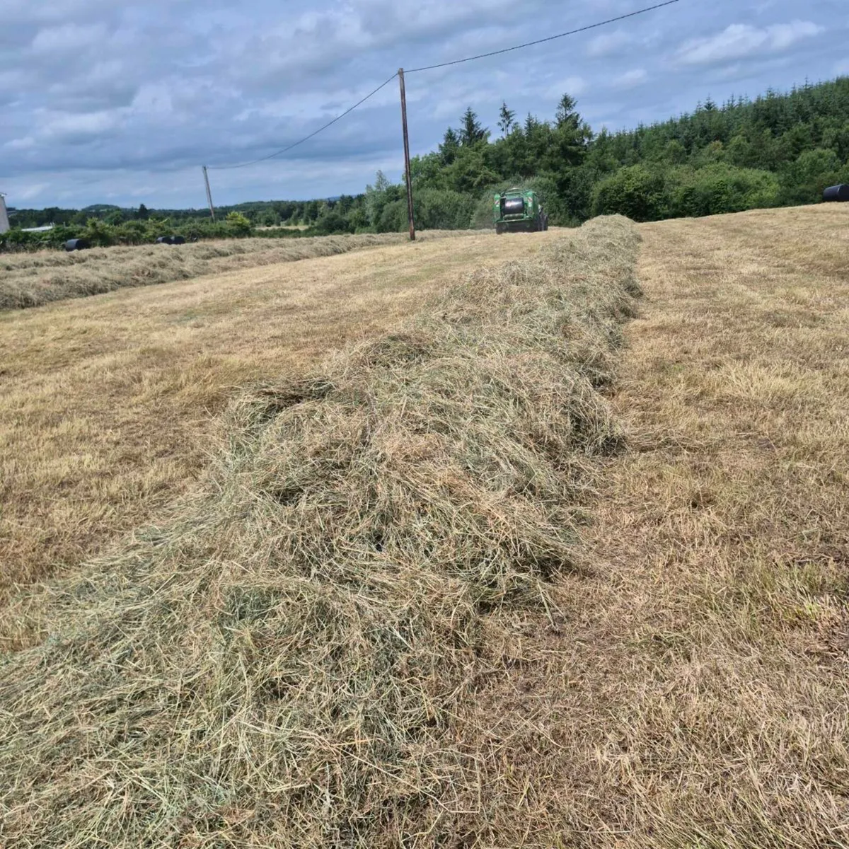 Haylages for sale - Image 1