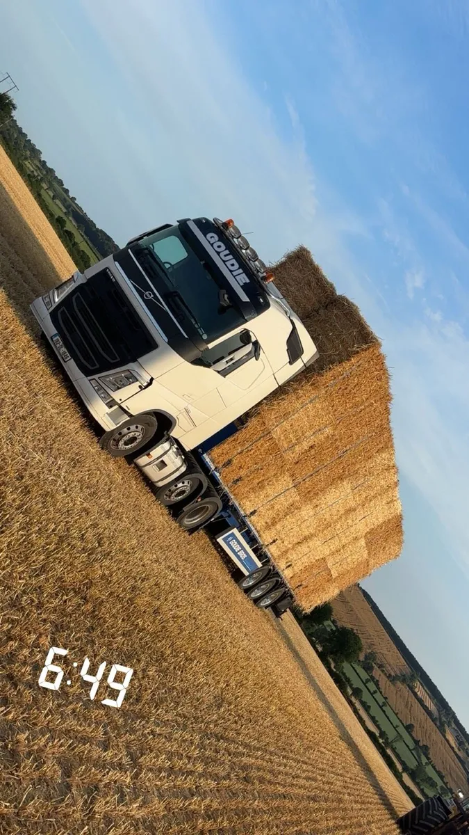 Straw & Hay 8x4x4 8x4x3 - Image 1