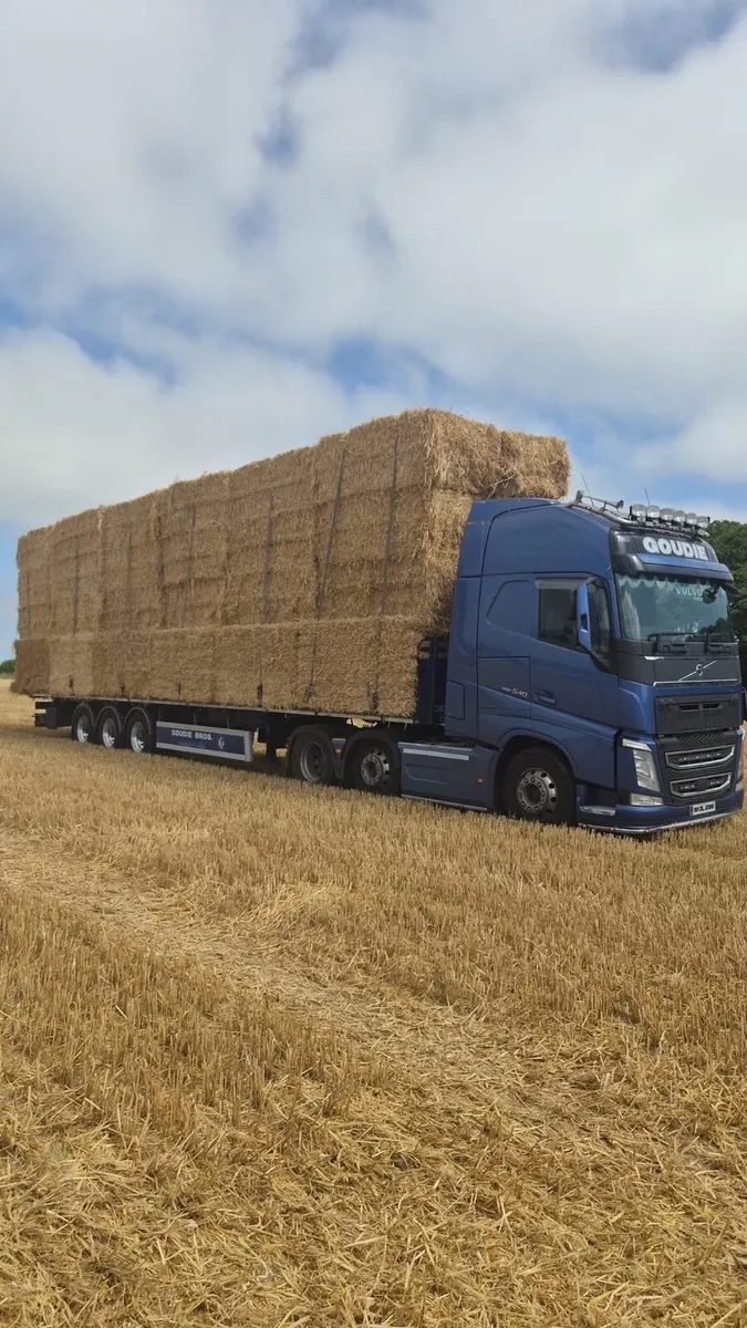 Straw & Hay 8x4x4 8x4x3 - Image 3