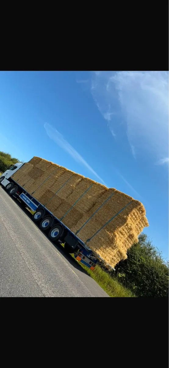 Straw & Hay 8x4x4 8x4x3 - Image 4