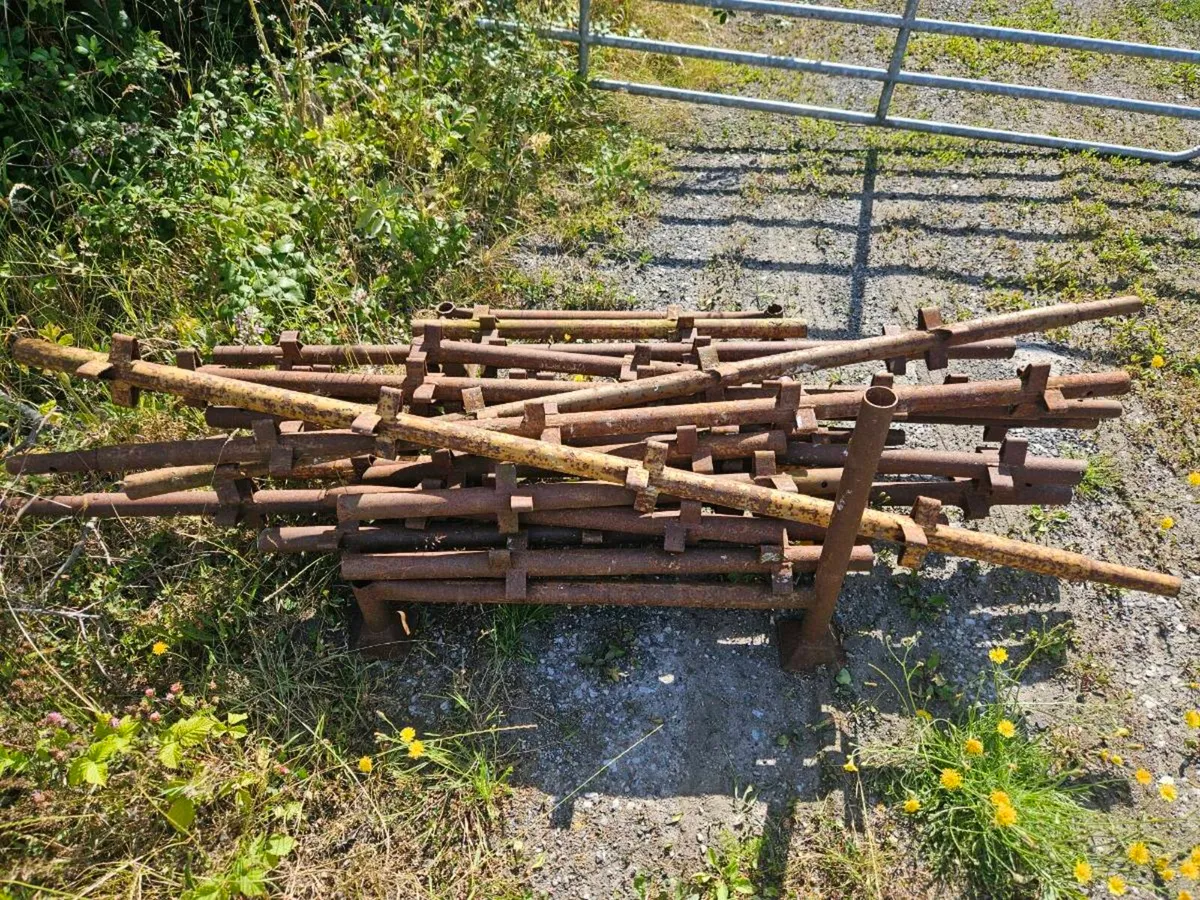 Scaffolding - Image 2