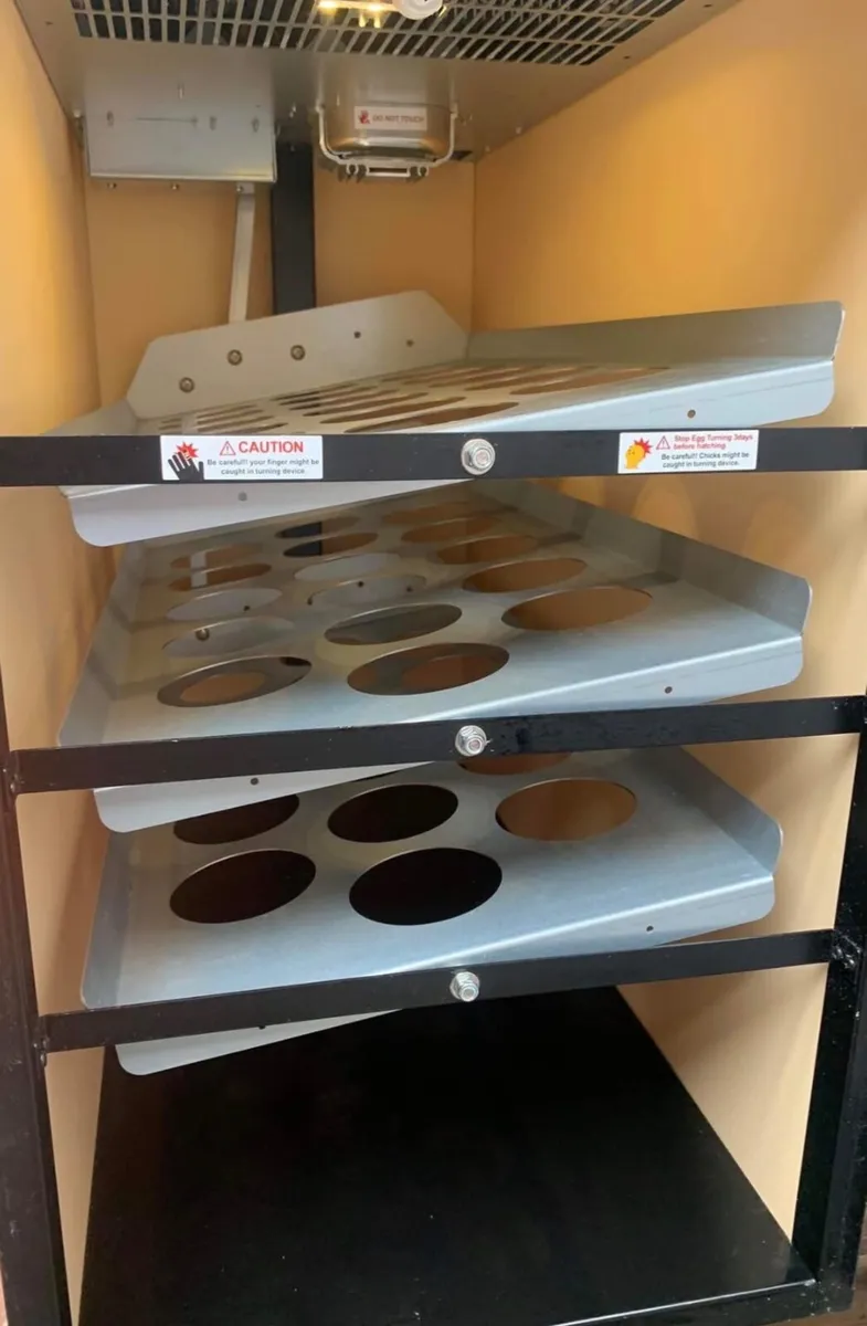 Rcom Maru Deluxe 380 Incubator - Image 2