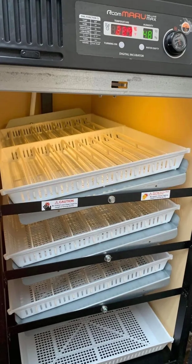 Rcom Maru Deluxe 380 Incubator - Image 3