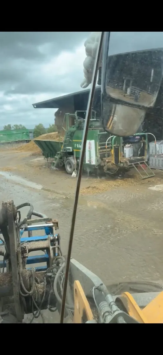 Beet /maize mix in bales - Image 2
