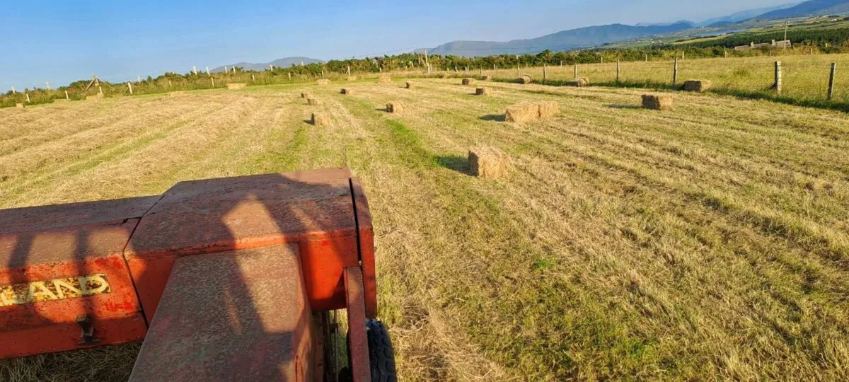 Hay bales €3 off the field - Image 1