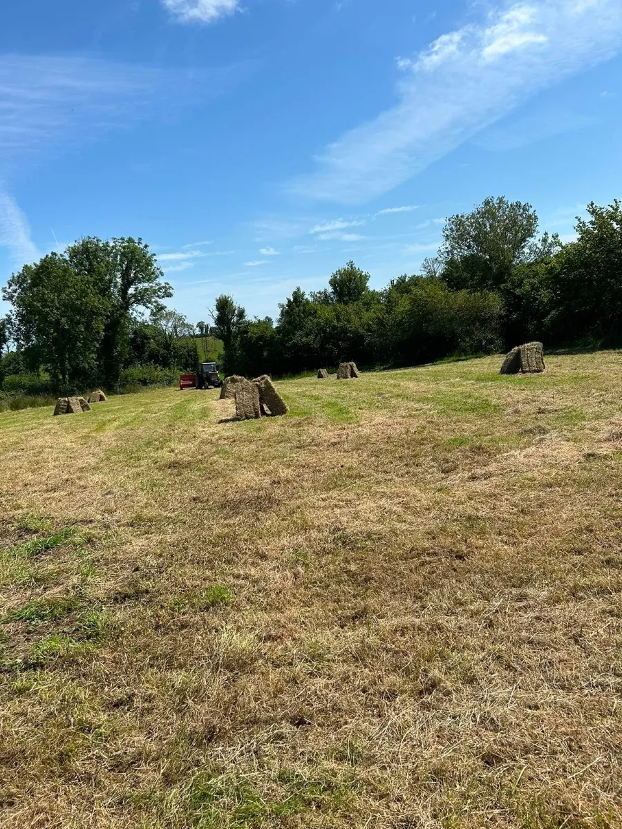 Square Baling for Hire