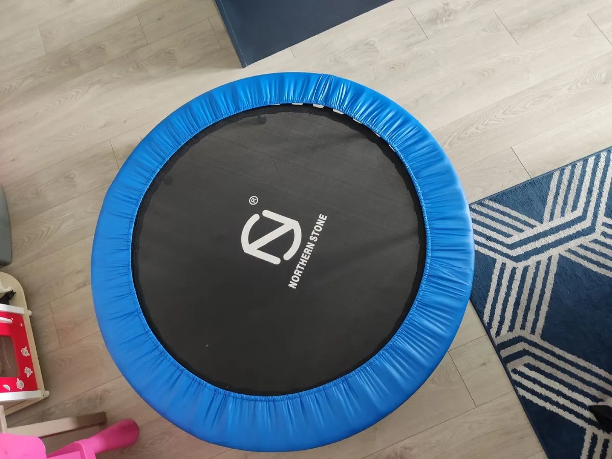 Mini Trampoline - Image 1