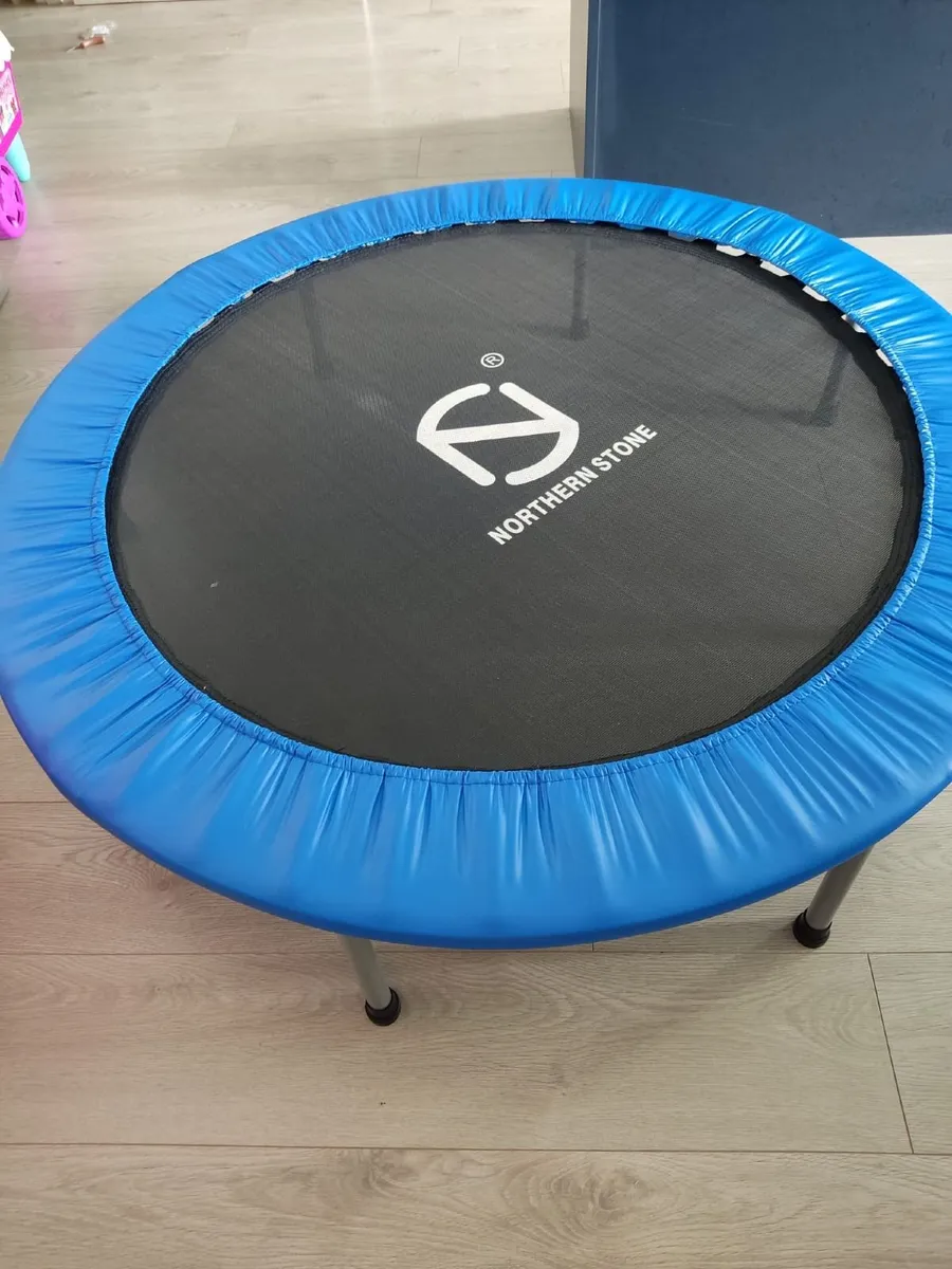 Mini Trampoline - Image 2