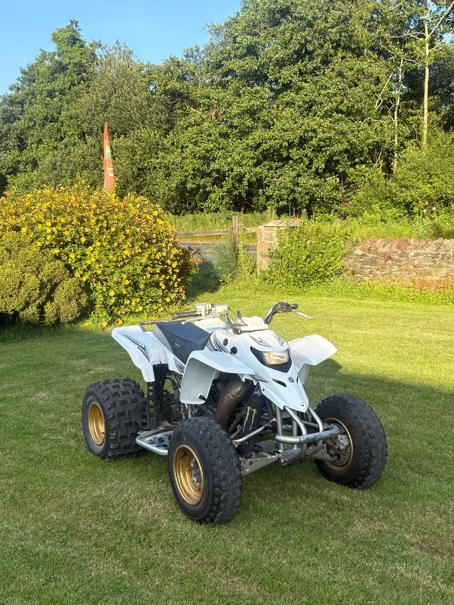 Yamaha blaster - Image 1