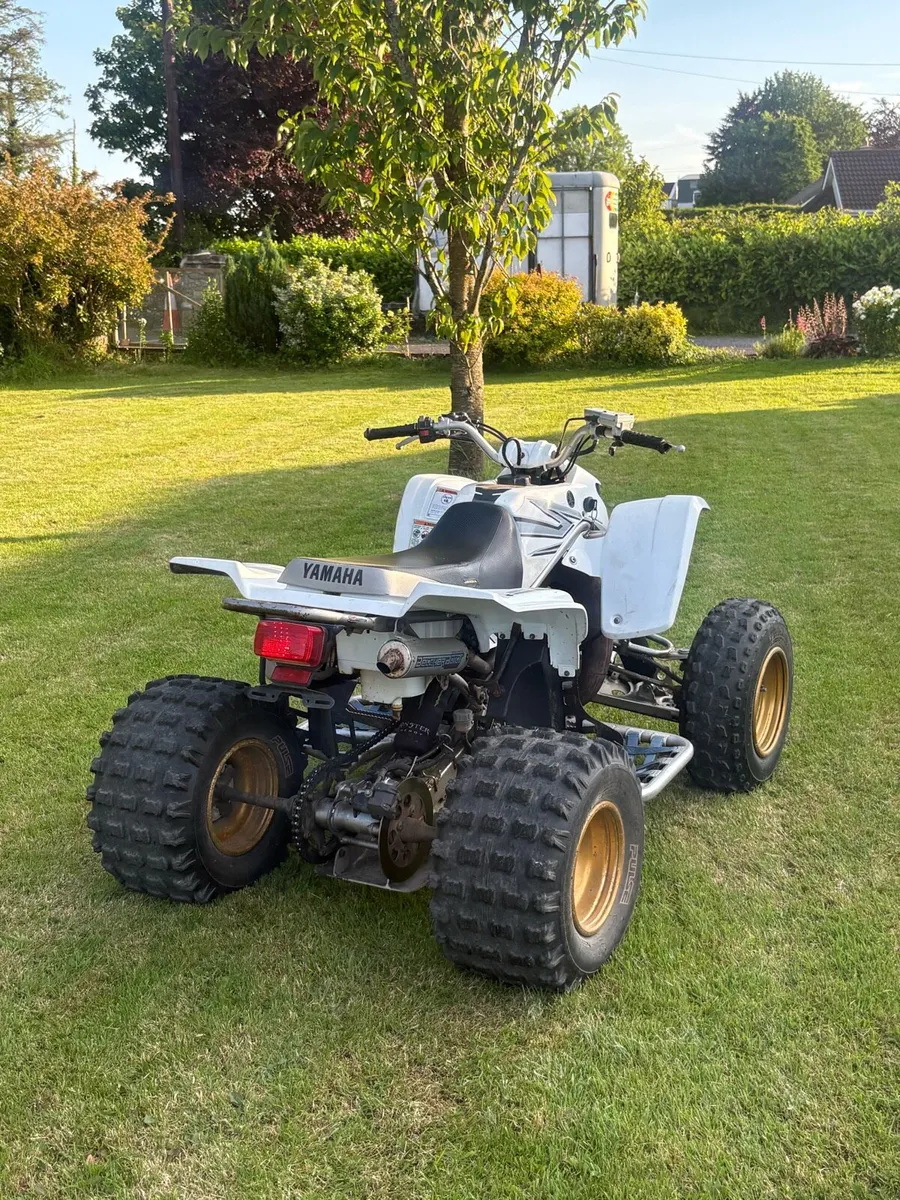 Yamaha blaster - Image 3