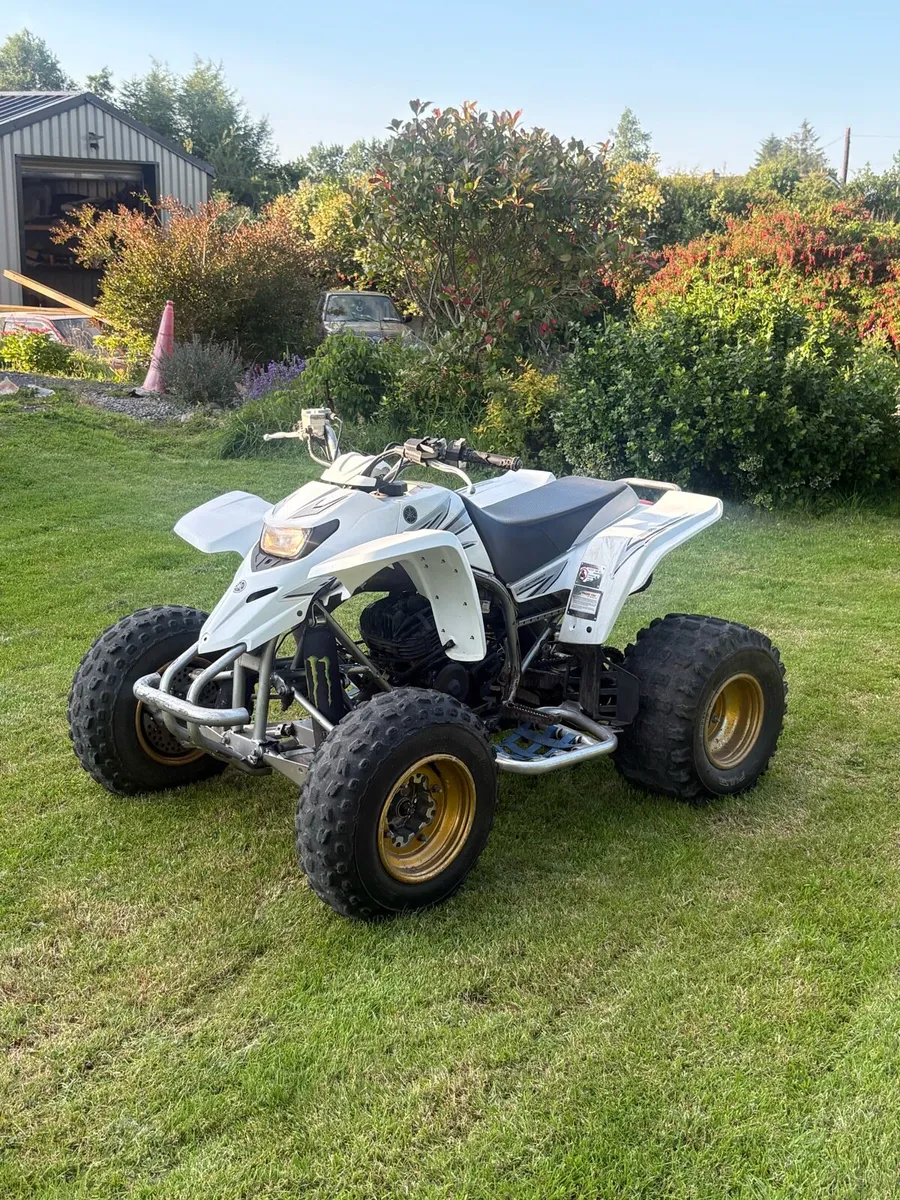 Yamaha blaster - Image 4