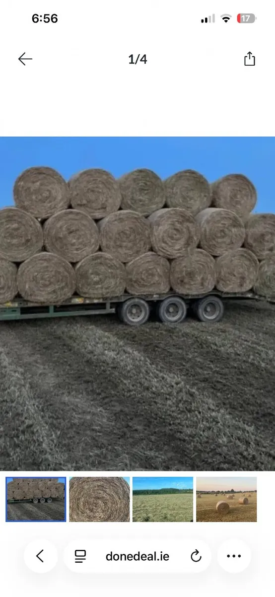Haybob for xx sale - Image 3