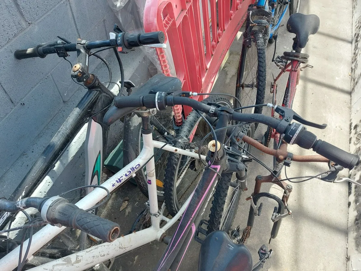 Online Push Bike & Scooters Auction - Image 1