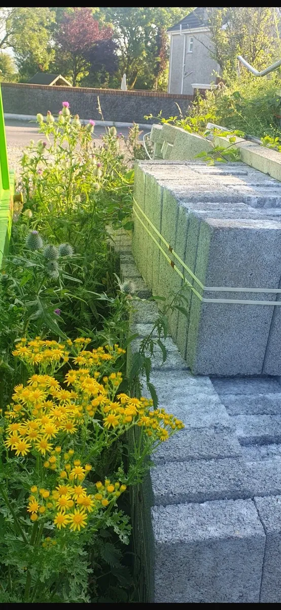 Mason Blocks - Image 1