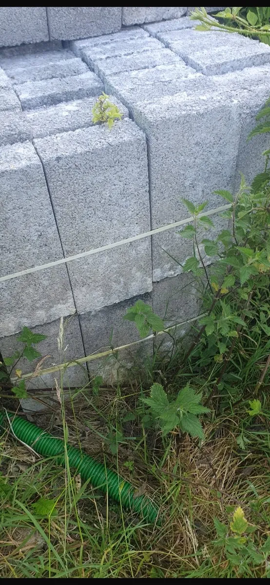 Mason Blocks - Image 2