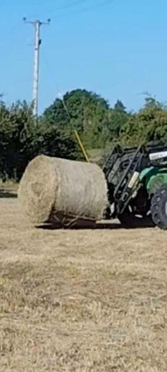 Good quality hay - Image 2