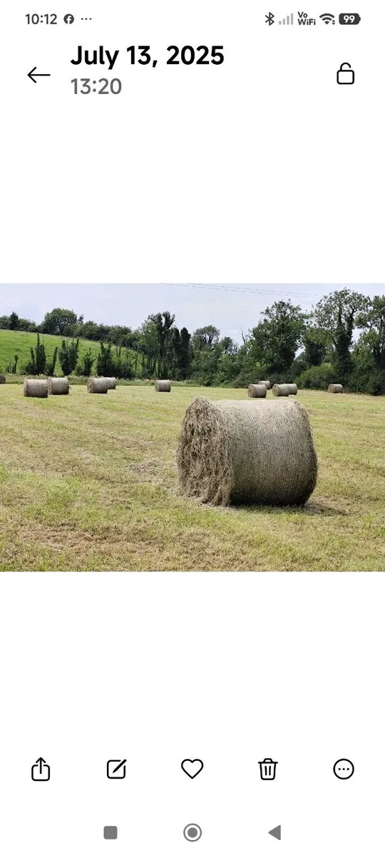 Good quality hay - Image 1