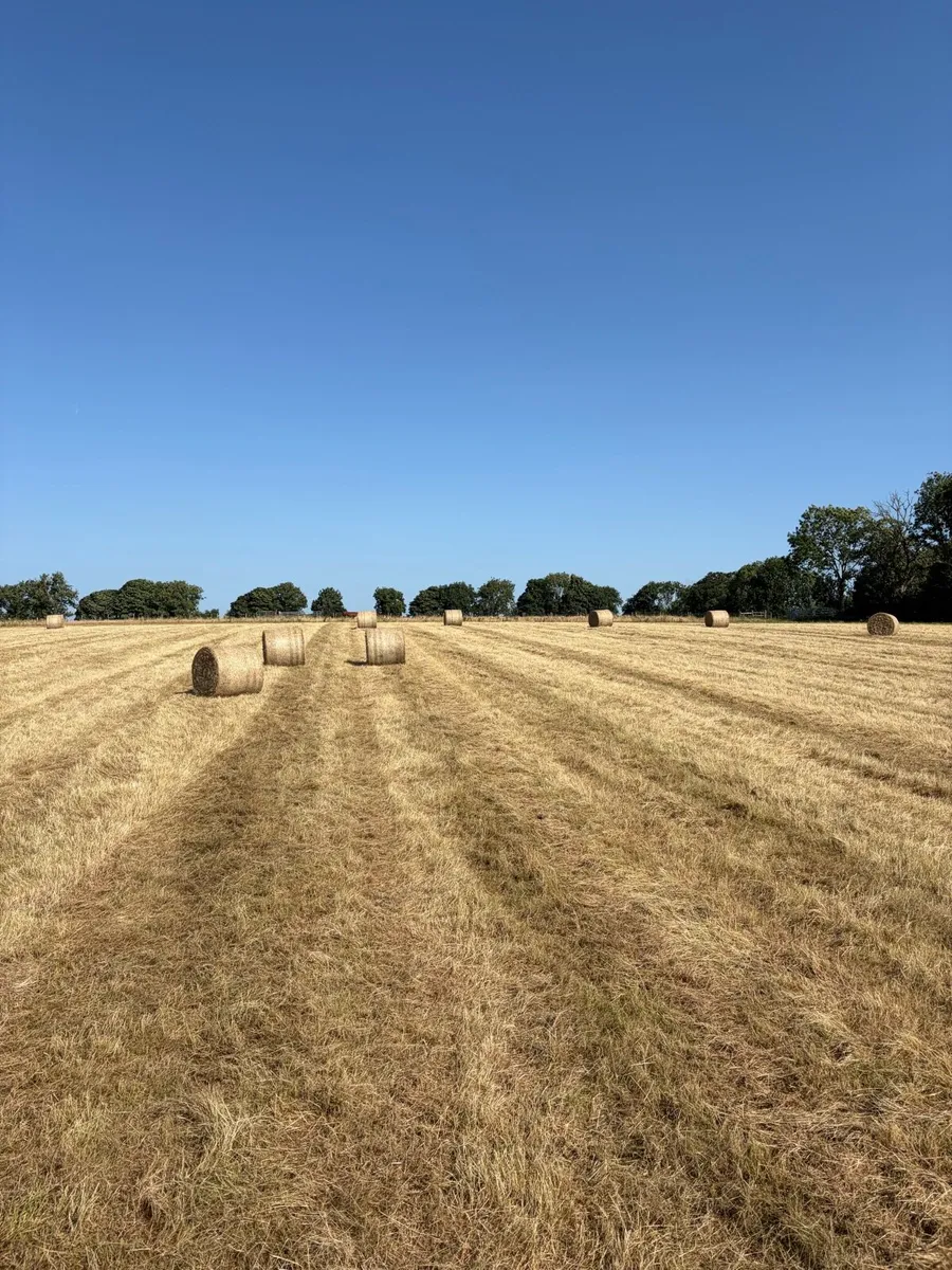 Hay bales