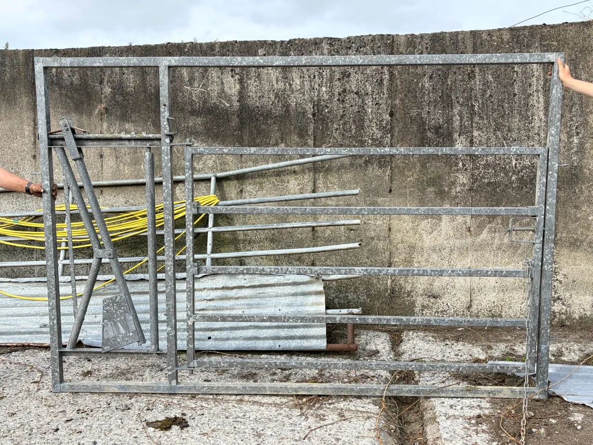 Calving gate - Image 3