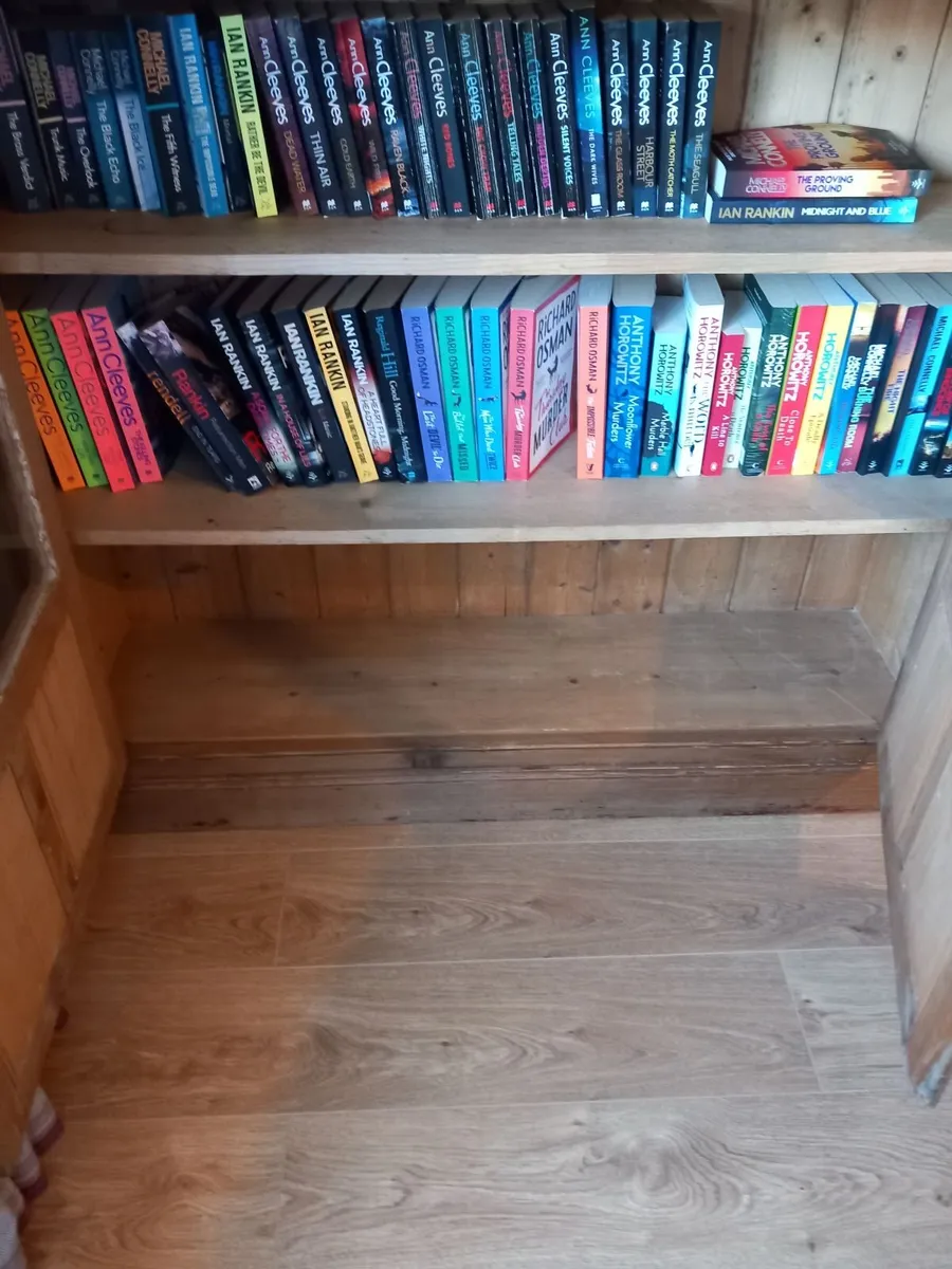Beautiful Pitch Pine Bookcase with doors - Image 2